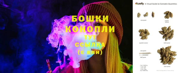 стафф Ельня